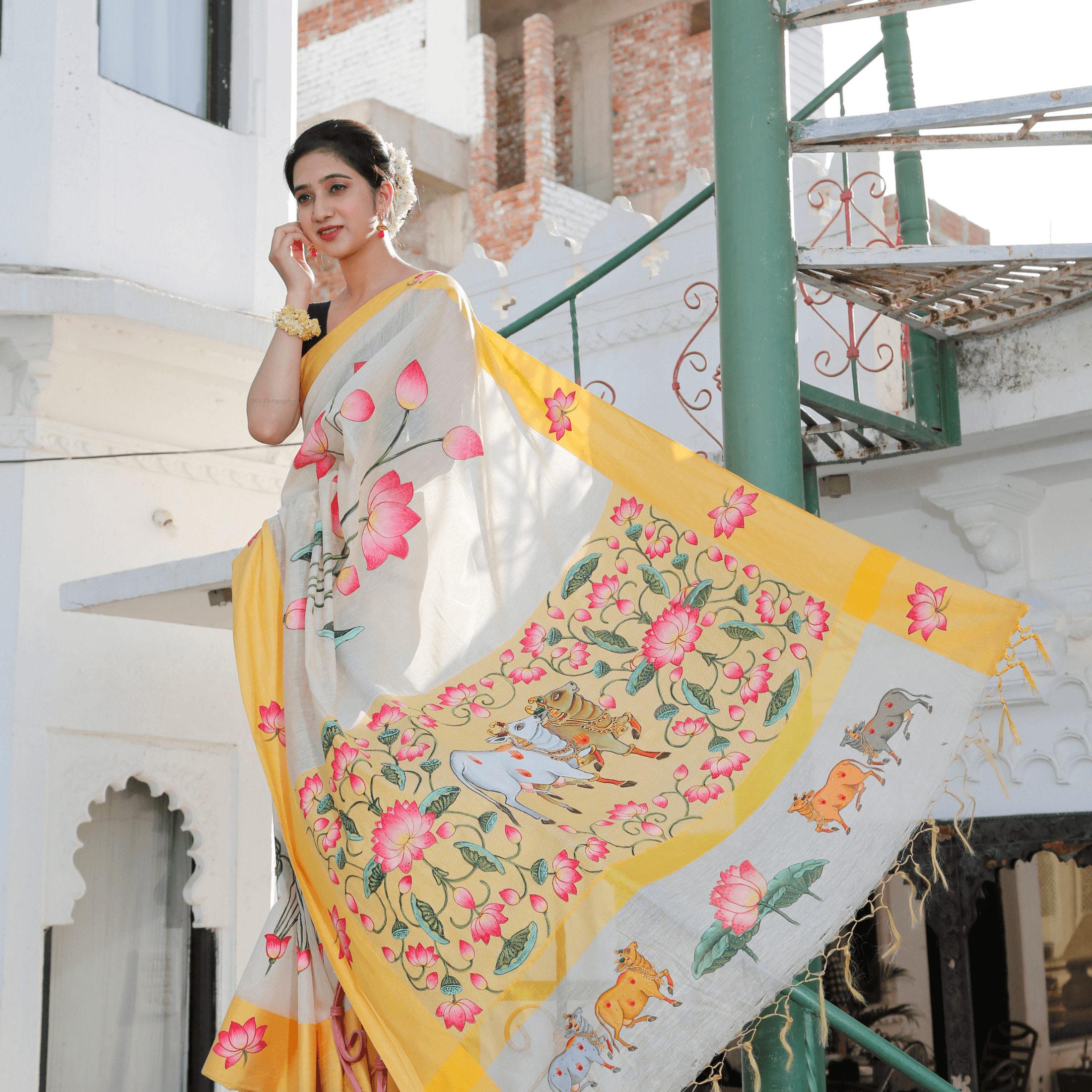 Haveli fresco fashion shoot Udaipur old city — MN Photography Studio